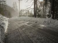 Winter Landscape in Germany: Snowy Forest Views
