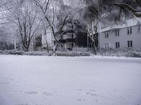 Winter Landscape: House Surrounded by Nature and Trees