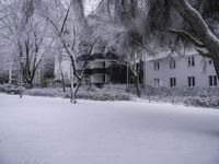 Winter Landscape: House Surrounded by Nature and Trees