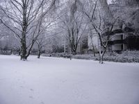 Winter Landscape: House Surrounded by Nature and Trees