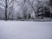 Winter Landscape: House Surrounded by Nature and Trees