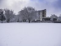 a building surrounded by trees in the snow in front of it with footprints on the snow and ground with trees