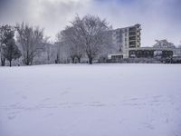 a building surrounded by trees in the snow in front of it with footprints on the snow and ground with trees