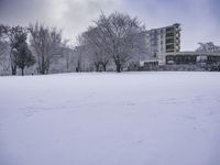 a building surrounded by trees in the snow in front of it with footprints on the snow and ground with trees