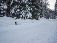 Winter Landscape in the German Alps