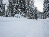 Winter Landscape in the German Alps