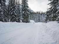 Winter Landscape in the German Alps