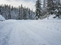 a person is walking up a snowy road next to snow covered evergreen trees, with one person holding skis up