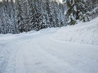 a person is walking up a snowy road next to snow covered evergreen trees, with one person holding skis up