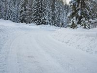 a person is walking up a snowy road next to snow covered evergreen trees, with one person holding skis up