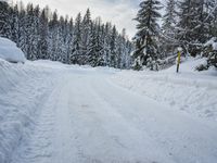 a person is walking up a snowy road next to snow covered evergreen trees, with one person holding skis up
