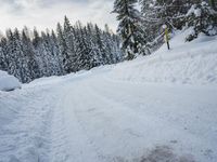 a person is walking up a snowy road next to snow covered evergreen trees, with one person holding skis up