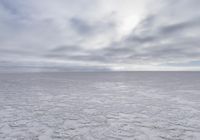 Salt Lake City Winter Landscape