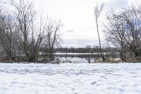 Winter Landscape in Markham, Ontario, Canada