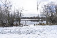 Winter Landscape in Markham, Ontario, Canada