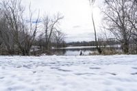 Winter Landscape in Markham, Ontario, Canada