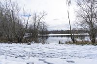 Winter Landscape in Markham, Ontario, Canada