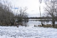 Winter Landscape in Markham, Ontario, Canada