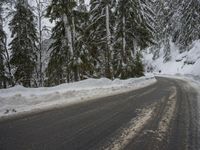 Winter Landscape: Mountains and Forests in Snow