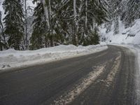 Winter Landscape: Mountains and Forests in Snow