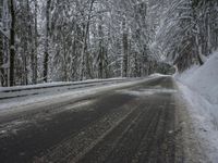 Winter Landscape: Mountains and Forests in Snow