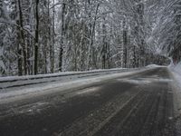 Winter Landscape: Mountains and Forests in Snow