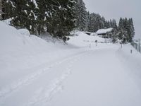 Winter Landscape: Mountain Road
