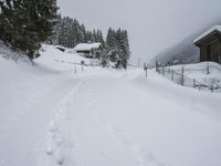 Winter Landscape: Mountain Road