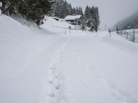 Winter Landscape: Mountain Road