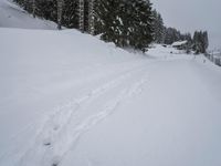 Winter Landscape: Mountain Road