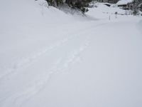 Winter Landscape: Mountain Road
