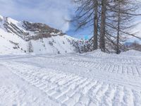 a person wearing skis on a snowy slope near a tree and mountain side road
