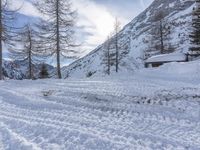 a person wearing skis on a snowy slope near a tree and mountain side road