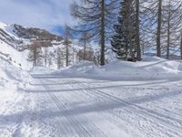 Winter Landscape: Off Road Track Through Snowy Mountains