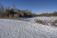 an empty road in winter time with snow on the ground and trees in the background