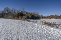 an empty road in winter time with snow on the ground and trees in the background