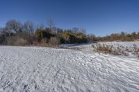 an empty road in winter time with snow on the ground and trees in the background