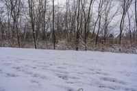 the trees are lined with many snow spots in the snow near a trail with white tracks and lines