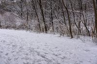 the trees are lined with many snow spots in the snow near a trail with white tracks and lines