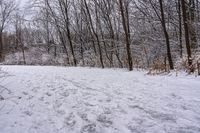 the trees are lined with many snow spots in the snow near a trail with white tracks and lines