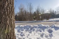 there is some snow on the ground near a tree and a road sign with light bulbs