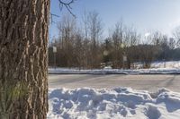 there is some snow on the ground near a tree and a road sign with light bulbs