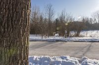 there is some snow on the ground near a tree and a road sign with light bulbs