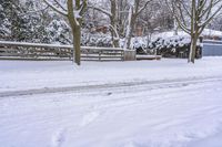 Winter Landscape in Residential Area of Toronto 004