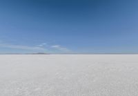 snow covered field with blue sky in the distance of the view is empty and full of snow