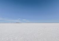 snow covered field with blue sky in the distance of the view is empty and full of snow