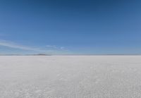snow covered field with blue sky in the distance of the view is empty and full of snow