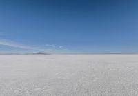 snow covered field with blue sky in the distance of the view is empty and full of snow