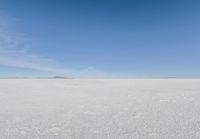 snow covered field with blue sky in the distance of the view is empty and full of snow