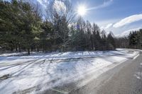 Winter Landscape: Snow Covered Forest in Ontario, Canada